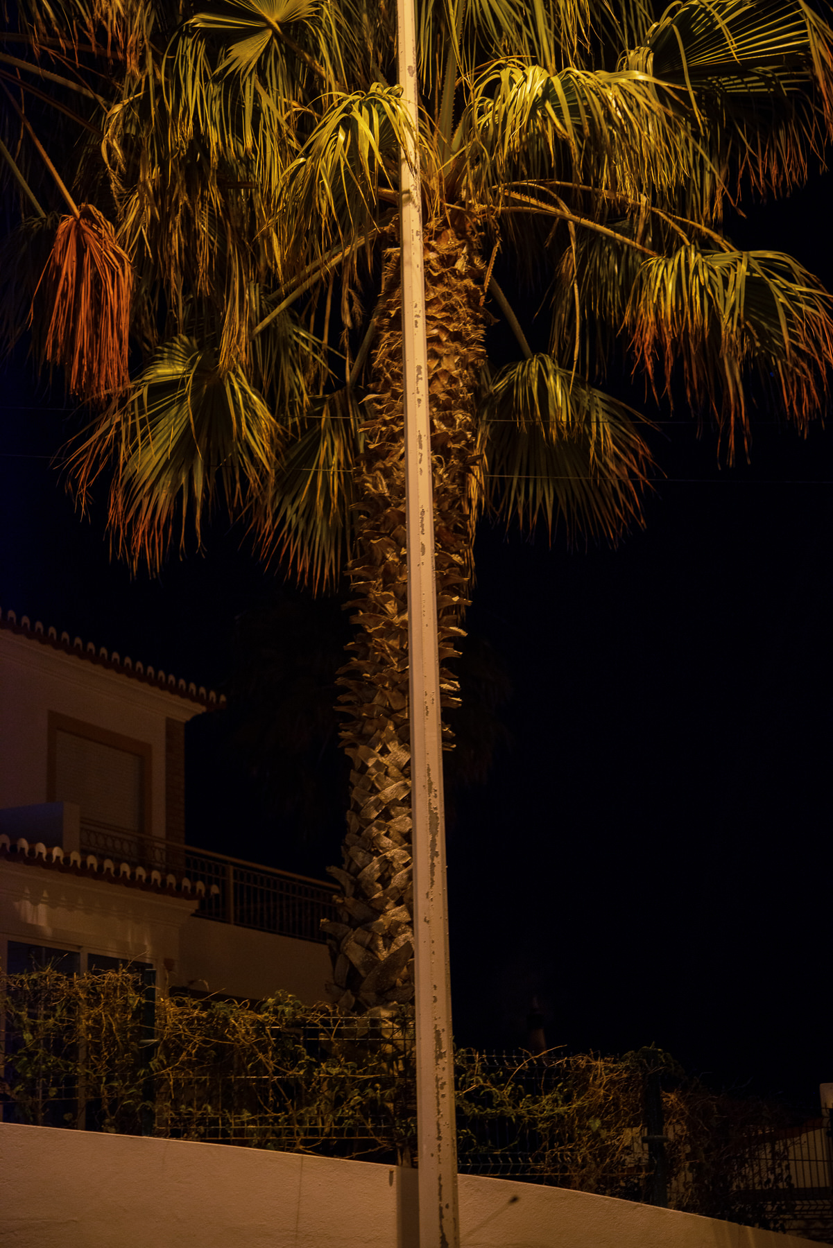 JANNIKE STELLING PHOTOGRAPHY