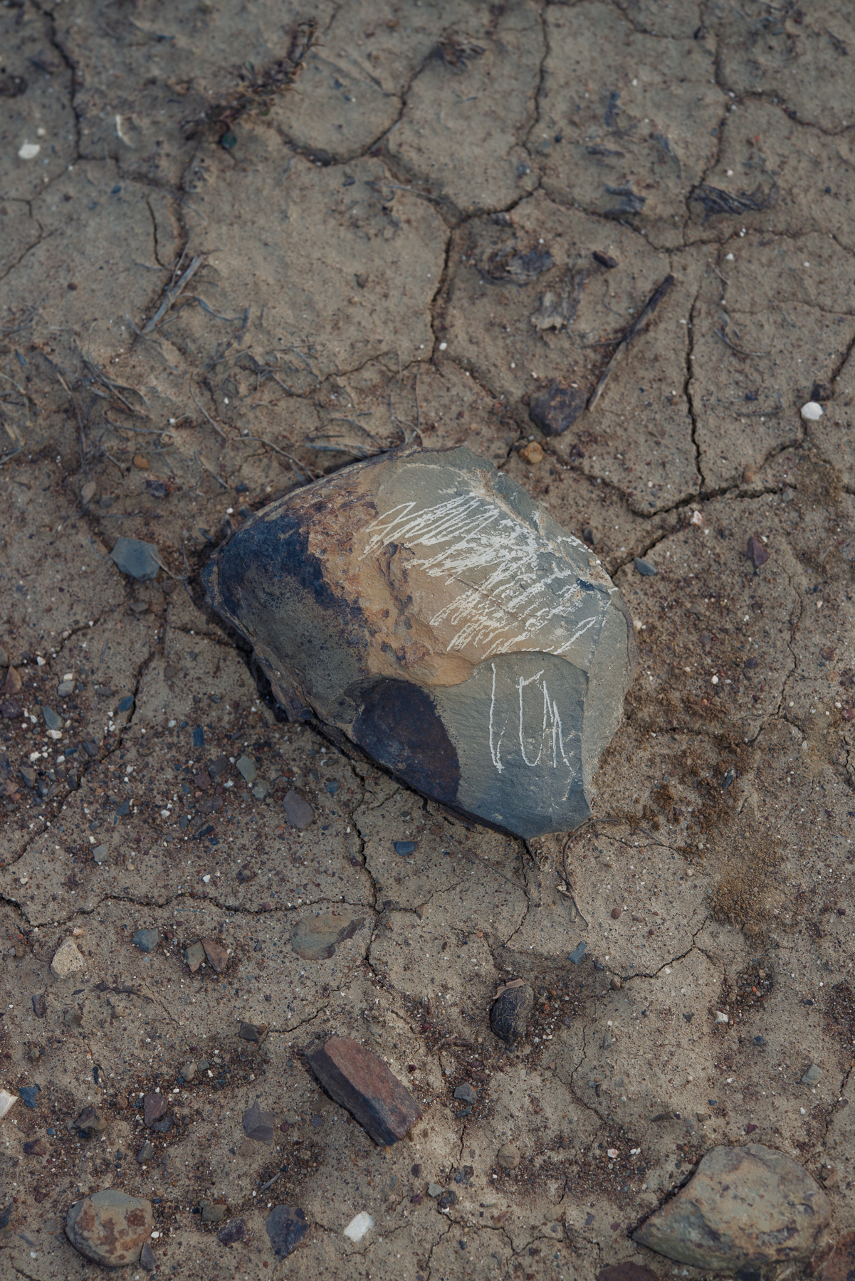 JANNIKE STELLING PHOTOGRAPHY