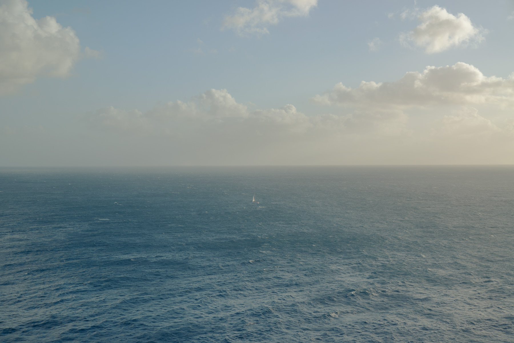 JANNIKE STELLING PHOTOGRAPHY