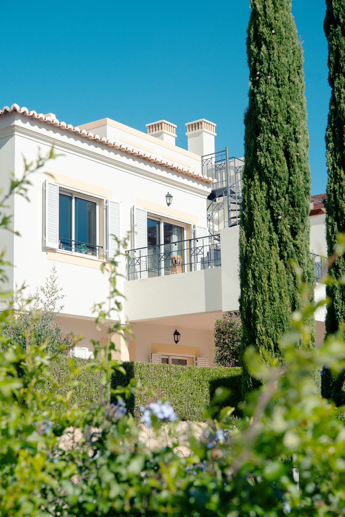 JANNIKE STELLING PHOTOGRAPHY