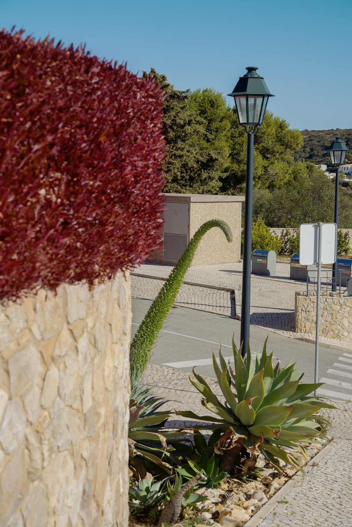 JANNIKE STELLING PHOTOGRAPHY