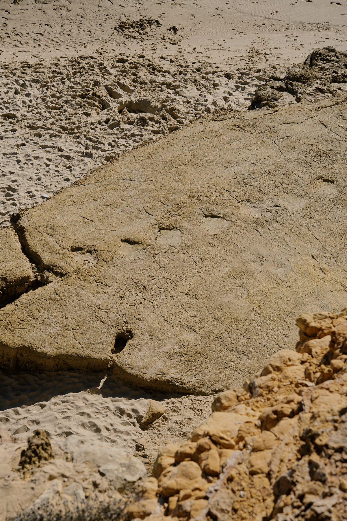 JANNIKE STELLING PHOTOGRAPHY