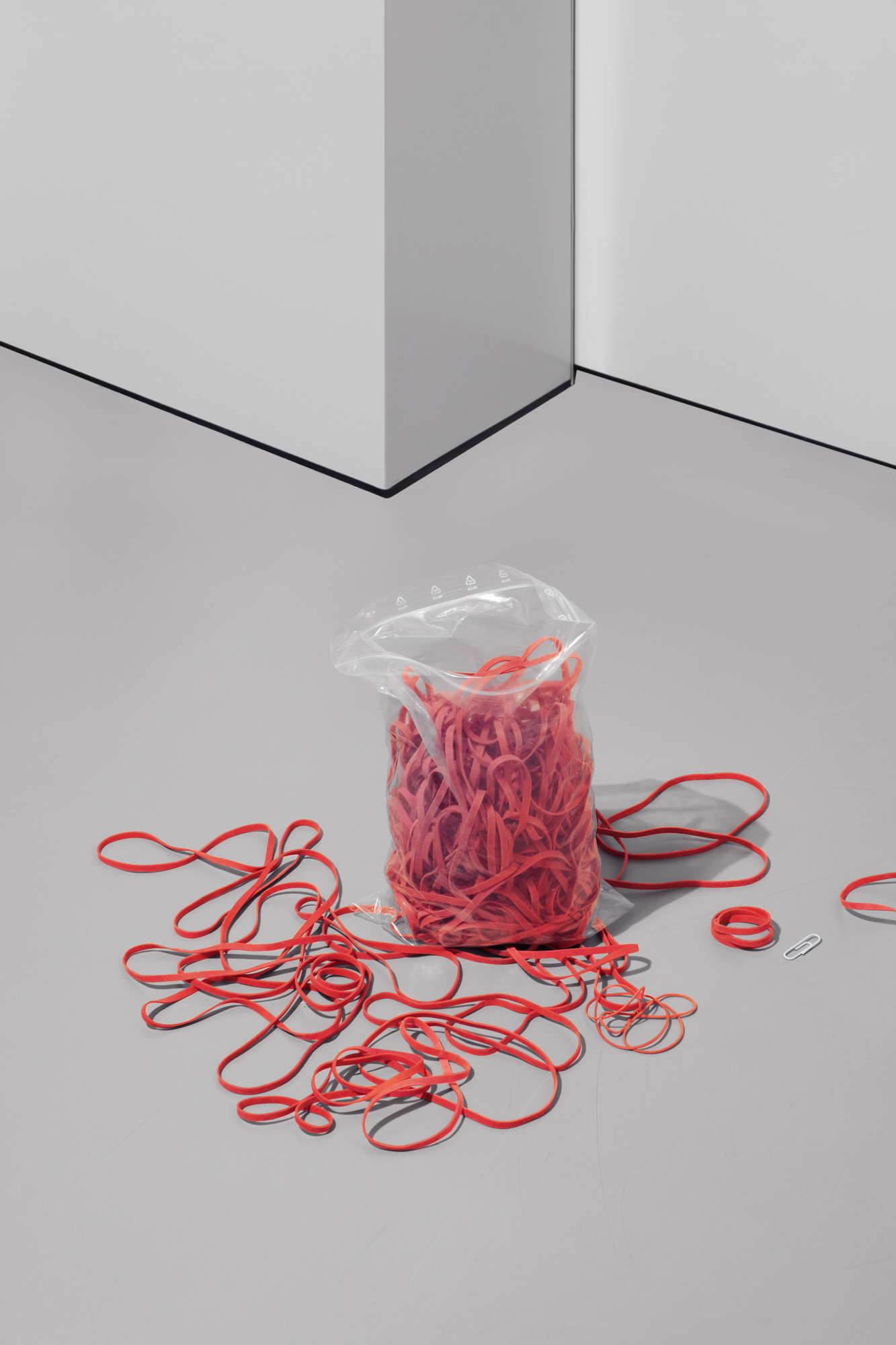 JANNIKE STELLING PHOTOGRAPHY