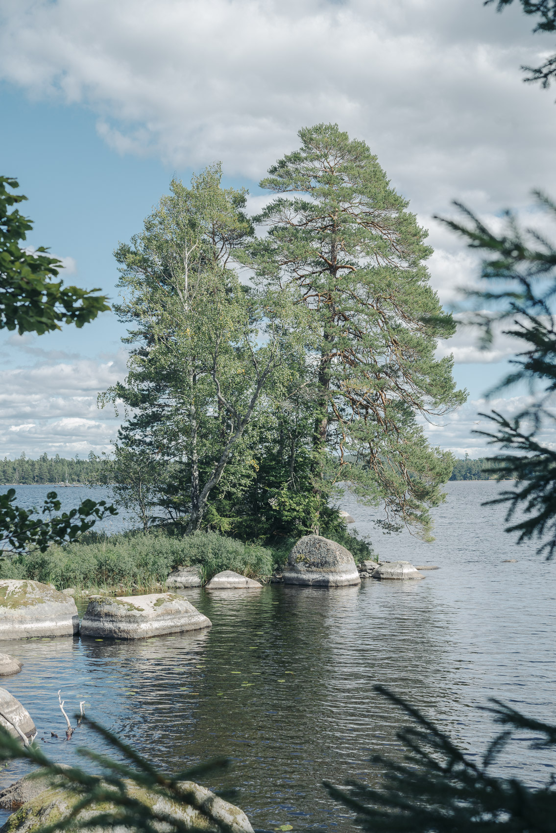 JANNIKE STELLING PHOTOGRAPHY