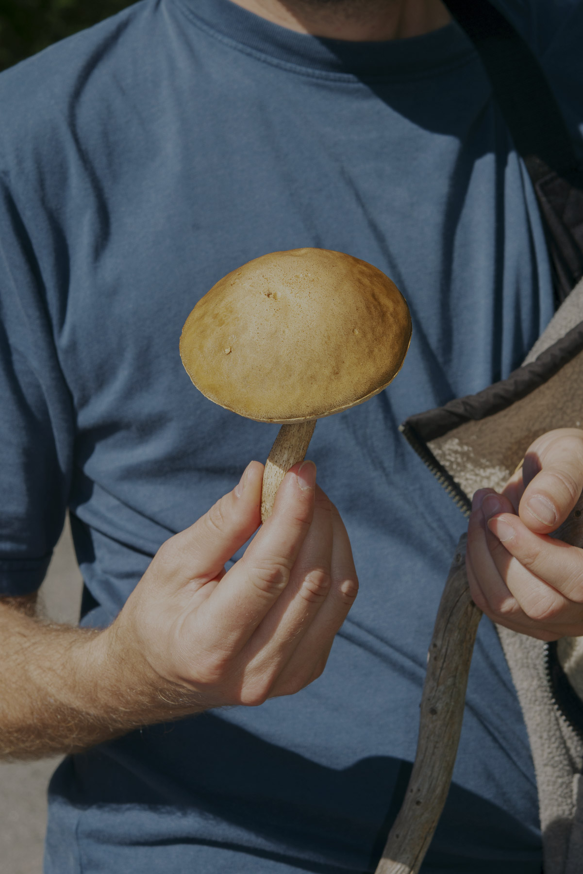 JANNIKE STELLING PHOTOGRAPHY