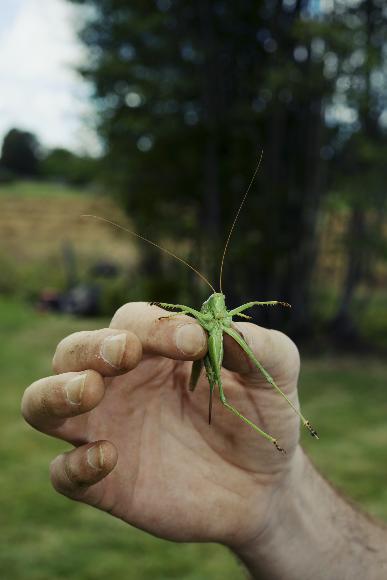 JANNIKE STELLING PHOTOGRAPHY