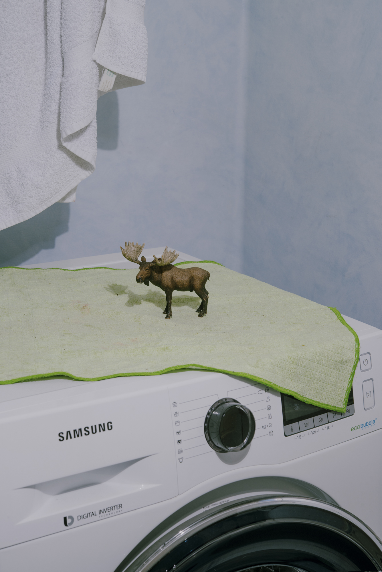 JANNIKE STELLING PHOTOGRAPHY