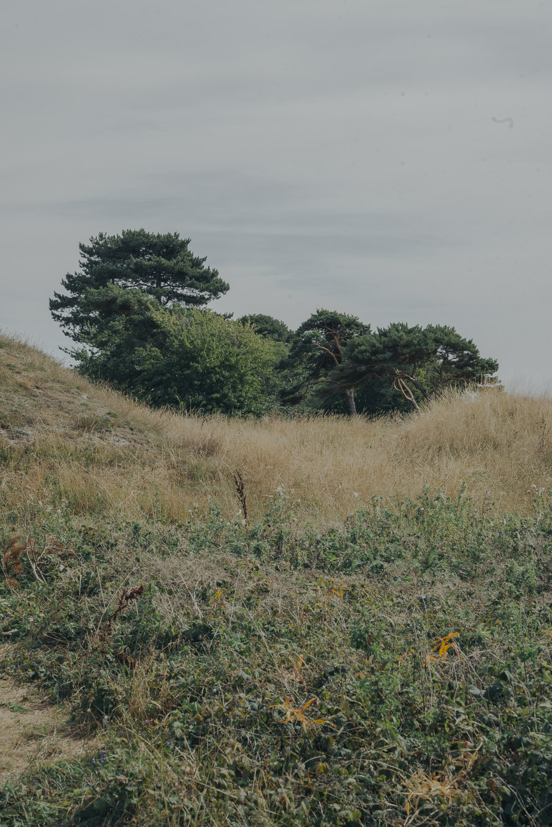 JANNIKE STELLING PHOTOGRAPHY