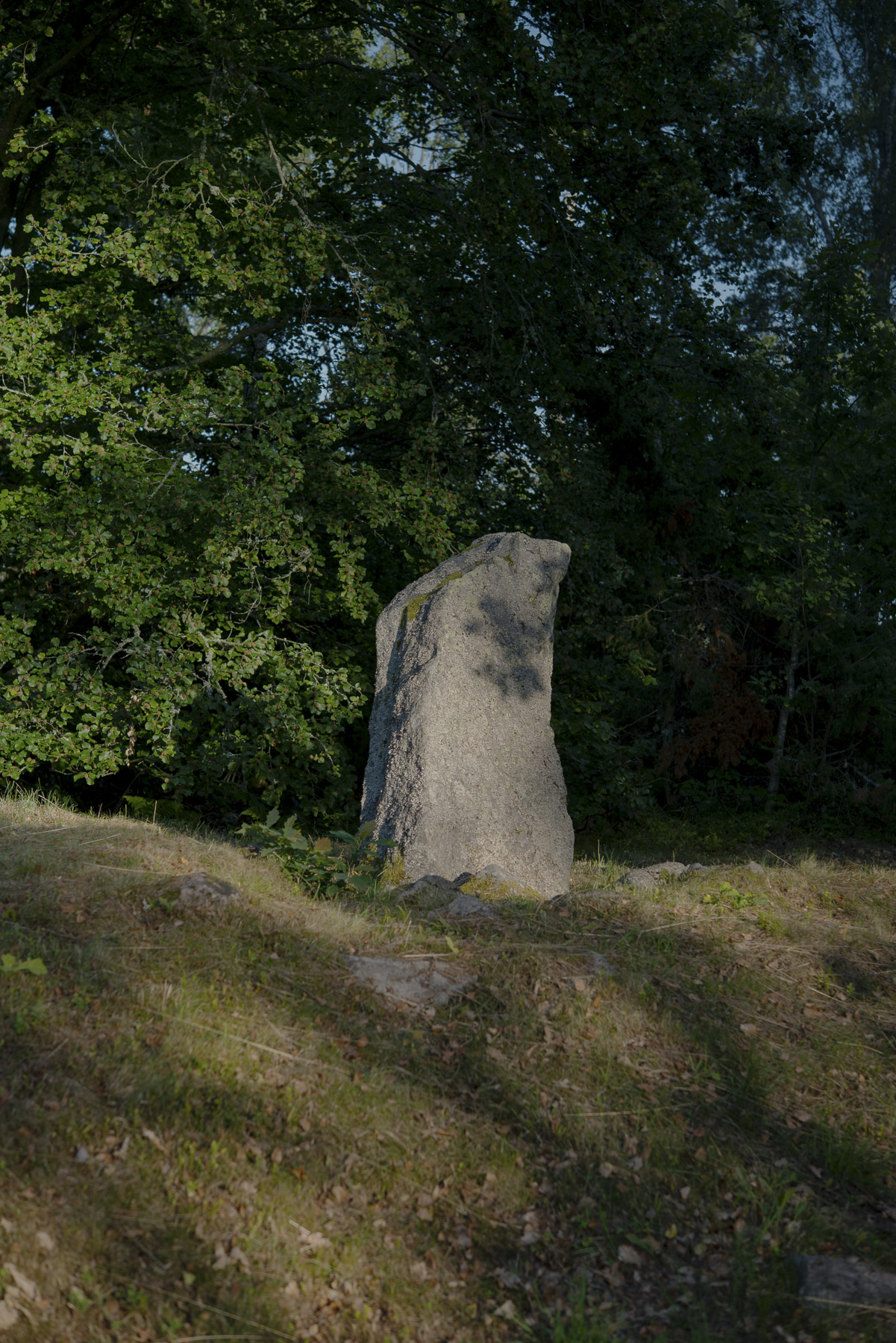 JANNIKE STELLING PHOTOGRAPHY