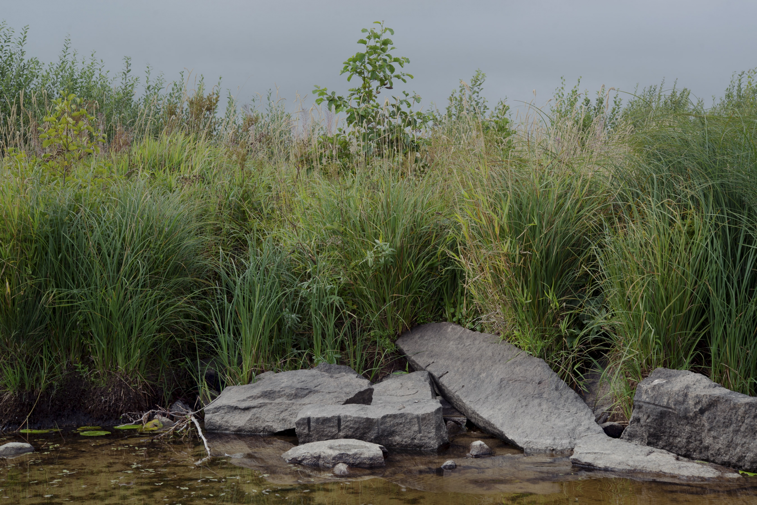 JANNIKE STELLING PHOTOGRAPHY