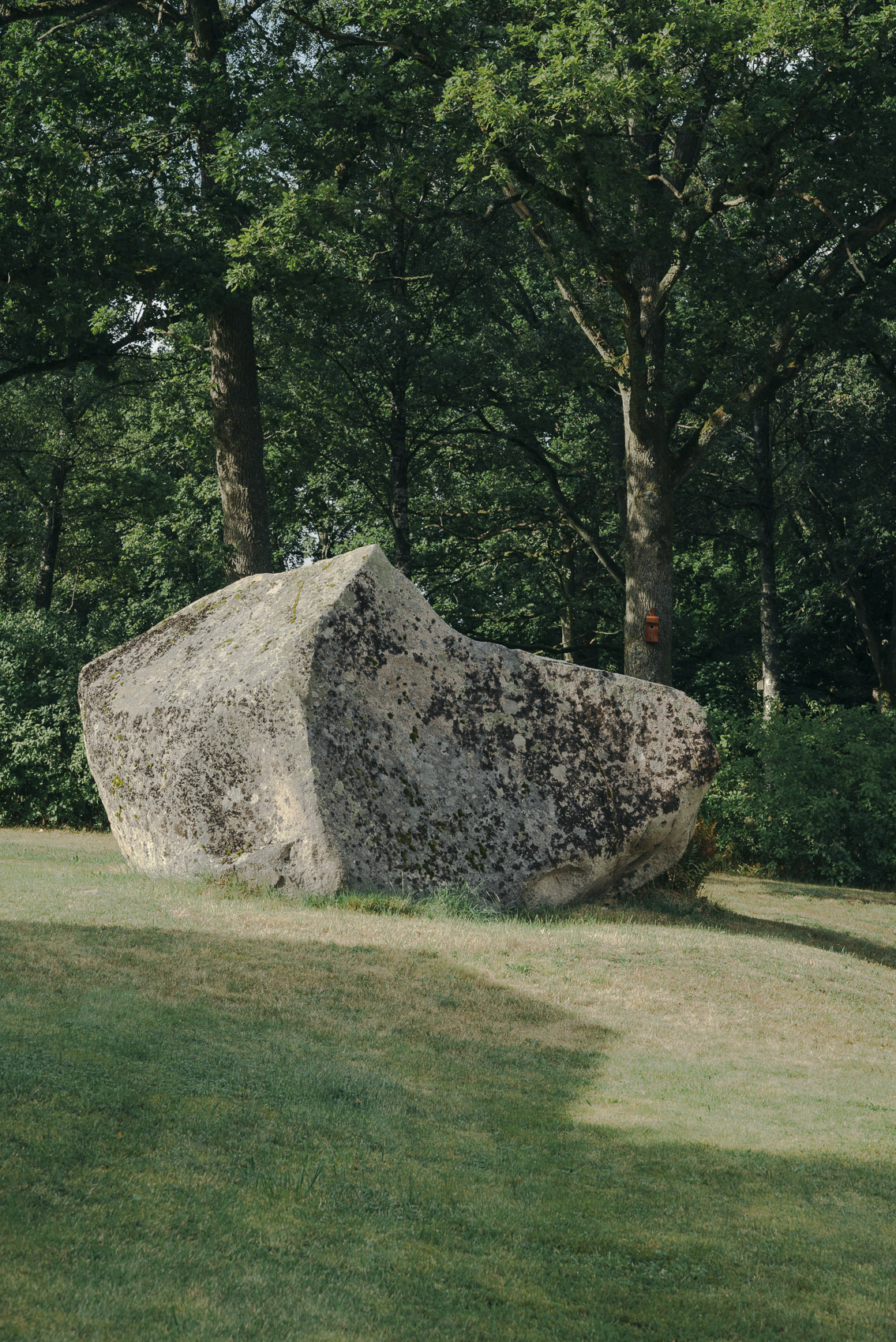 JANNIKE STELLING PHOTOGRAPHY